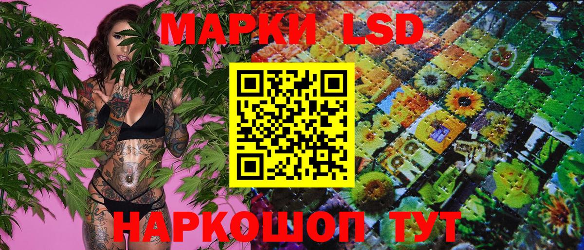 МЕФ Минусинск
