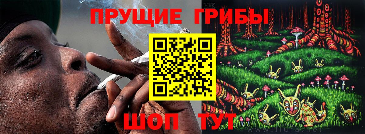 Галлюциногенные грибы мухоморы Минусинск