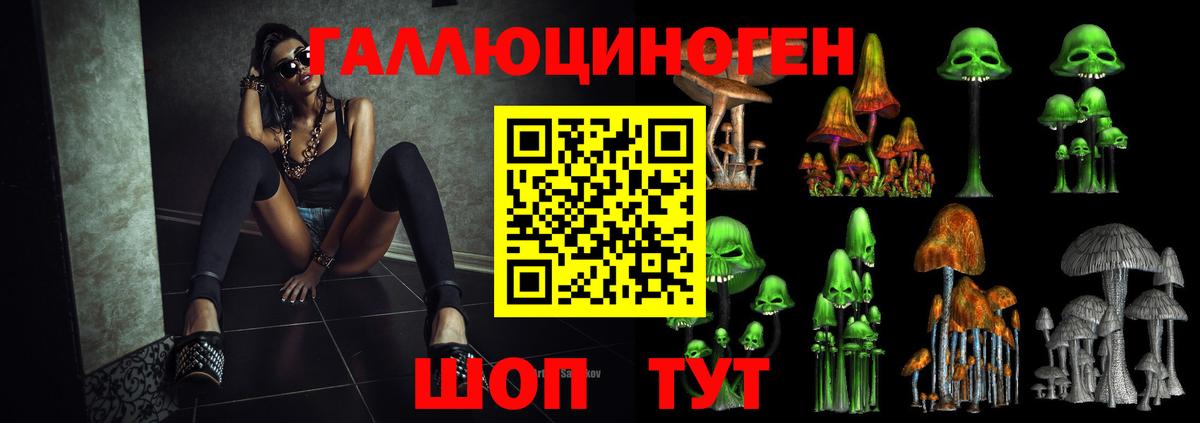 Галлюциногенные грибы GOLDEN TEACHER  Псилоцибиновые грибы мицелий  Вход с VPN  Минусинск 